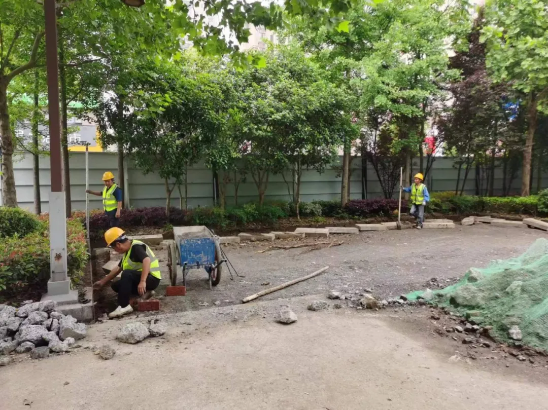 1715308090203861.jpg 1715308090203861.jpg