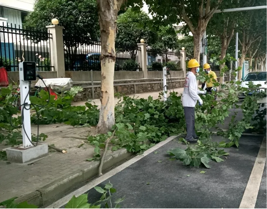 1719455098544066.jpg 1719455098544066.jpg